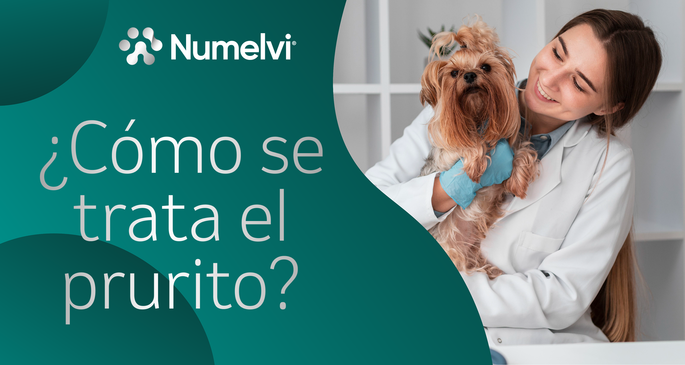 ¿Cómo se trata el prurito?